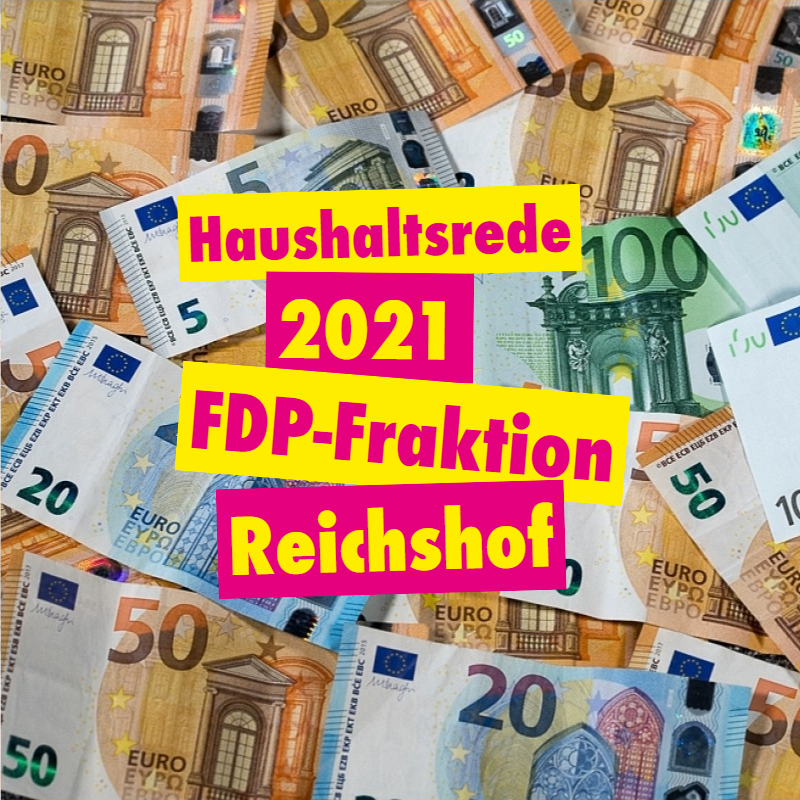 Haushaltsrede der FDP-Fraktion 2021